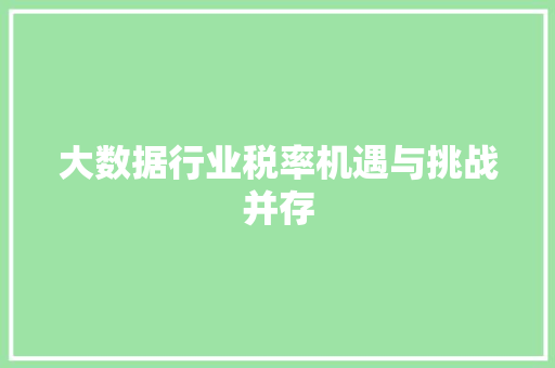 大数据行业税率机遇与挑战并存