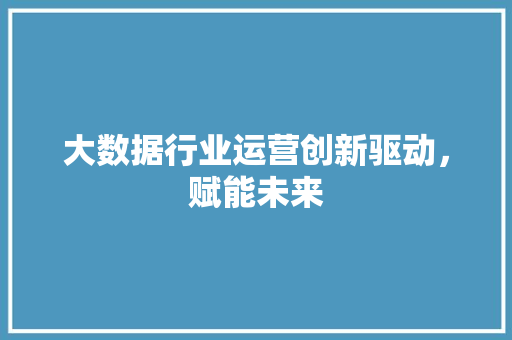 大数据行业运营创新驱动，赋能未来