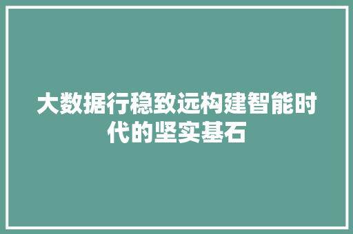 大数据行稳致远构建智能时代的坚实基石