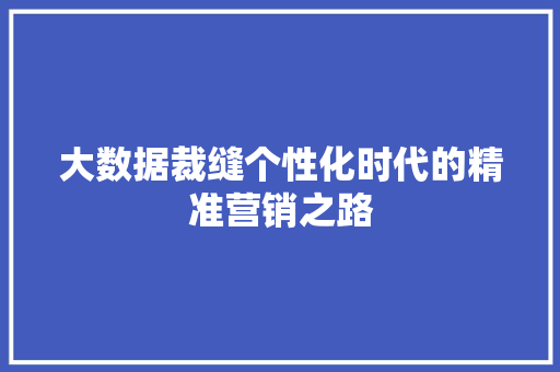 大数据裁缝个性化时代的精准营销之路