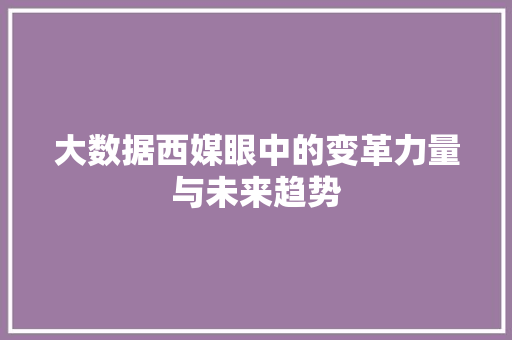 大数据西媒眼中的变革力量与未来趋势