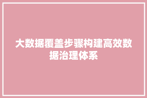 大数据覆盖步骤构建高效数据治理体系