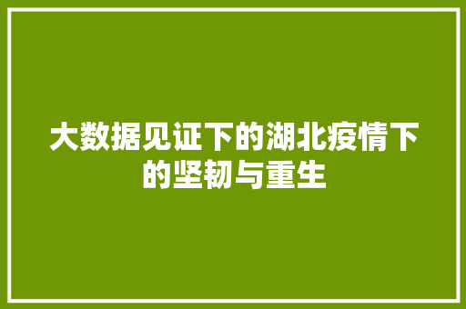 大数据见证下的湖北疫情下的坚韧与重生