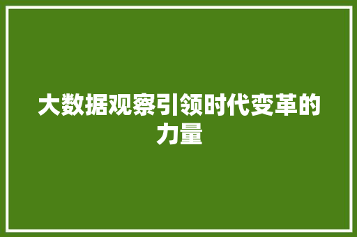 大数据观察引领时代变革的力量 SEO教程