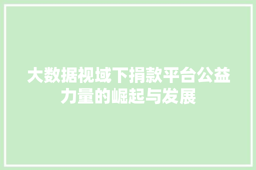 大数据视域下捐款平台公益力量的崛起与发展