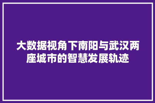 大数据视角下南阳与武汉两座城市的智慧发展轨迹