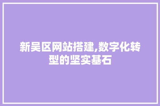 新吴区网站搭建,数字化转型的坚实基石