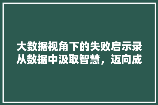 大数据视角下的失败启示录从数据中汲取智慧,迈向成功之路 大数据视角下的失败启示录从数据中汲取智慧,迈向成功之路