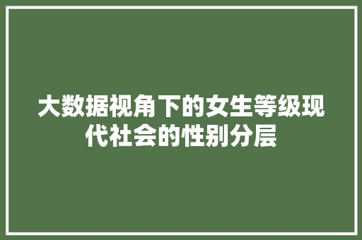 大数据视角下的女生等级现代社会的性别分层 大数据视角下的女生等级现代社会的性别分层