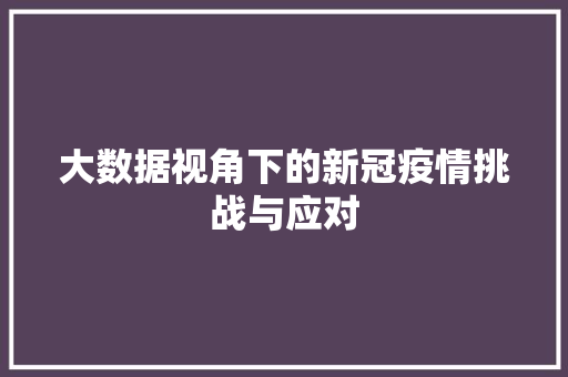 大数据视角下的新冠疫情挑战与应对