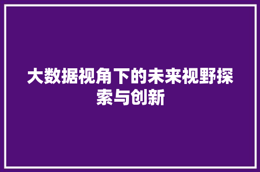 大数据视角下的未来视野探索与创新 SEO教程