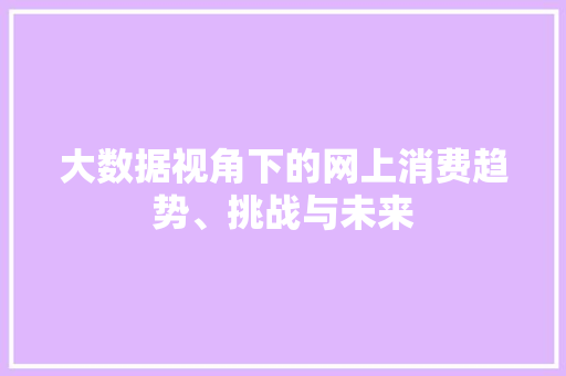 大数据视角下的网上消费趋势、挑战与未来