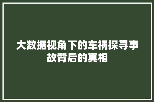 大数据视角下的车祸探寻事故背后的真相