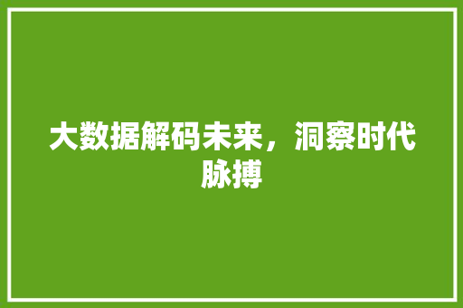 大数据解码未来，洞察时代脉搏 Web前端