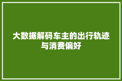 大数据解码车主的出行轨迹与消费偏好