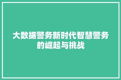 大数据警务新时代智慧警务的崛起与挑战