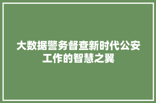 大数据警务督查新时代公安工作的智慧之翼 SEO教程