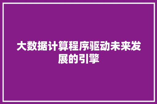 大数据计算程序驱动未来发展的引擎