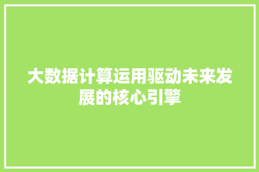 大数据计算运用驱动未来发展的核心引擎