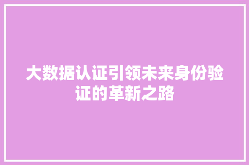 大数据认证引领未来身份验证的革新之路