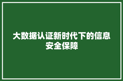 大数据认证新时代下的信息安全保障
