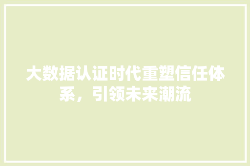 大数据认证时代重塑信任体系，引领未来潮流