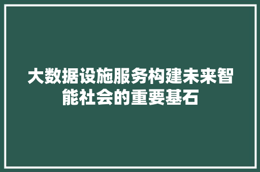 大数据设施服务构建未来智能社会的重要基石