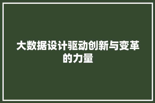 大数据设计驱动创新与变革的力量