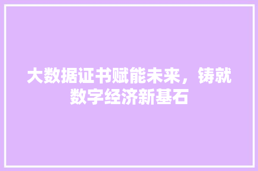 大数据证书赋能未来，铸就数字经济新基石