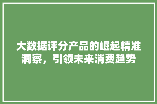 大数据评分产品的崛起精准洞察，引领未来消费趋势
