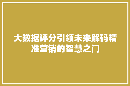 大数据评分引领未来解码精准营销的智慧之门