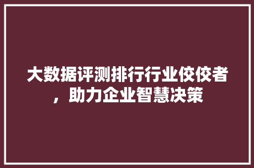 大数据评测排行行业佼佼者，助力企业智慧决策