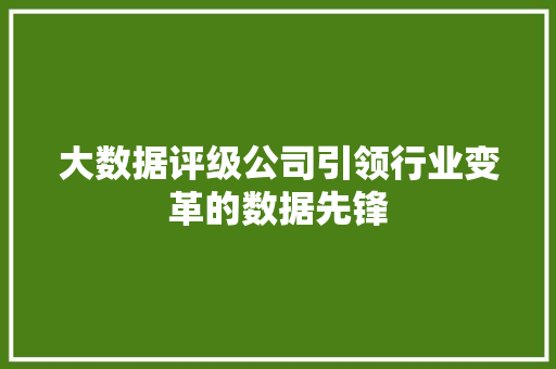 大数据评级公司引领行业变革的数据先锋