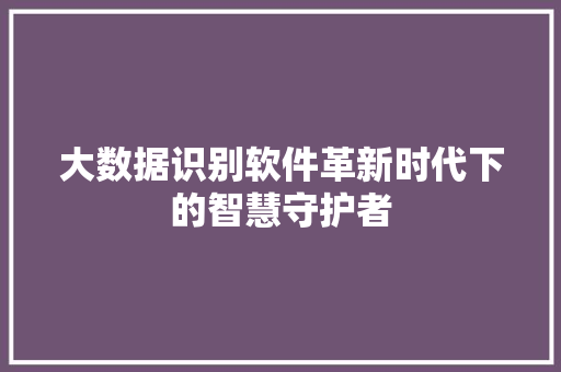 大数据识别软件革新时代下的智慧守护者