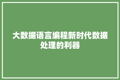 大数据语言编程新时代数据处理的利器