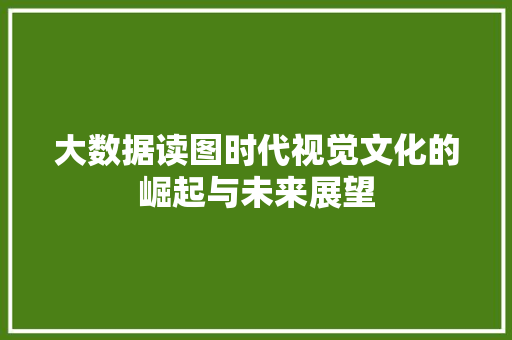 大数据读图时代视觉文化的崛起与未来展望