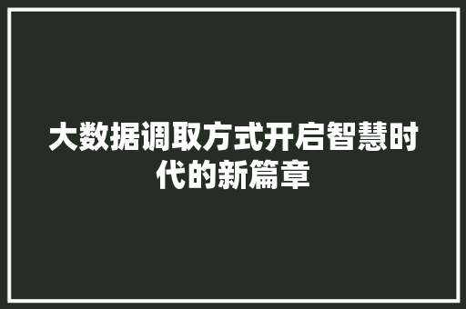 大数据调取方式开启智慧时代的新篇章