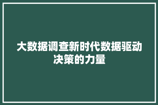 大数据调查新时代数据驱动决策的力量