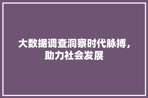 大数据调查洞察时代脉搏，助力社会发展