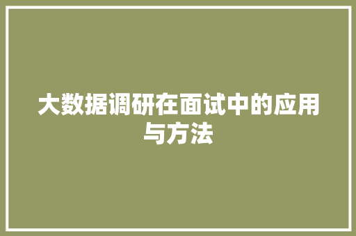 大数据调研在面试中的应用与方法 SEO教程
