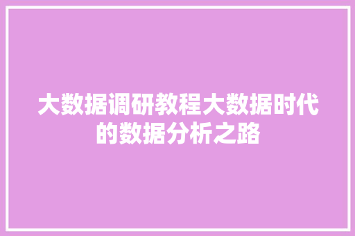 大数据调研教程大数据时代的数据分析之路 Web前端
