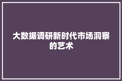 大数据调研新时代市场洞察的艺术