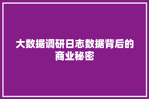 大数据调研日志数据背后的商业秘密