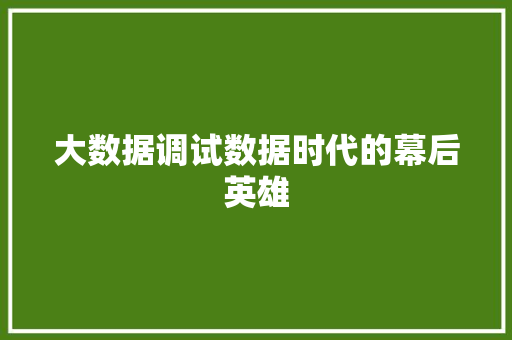 大数据调试数据时代的幕后英雄