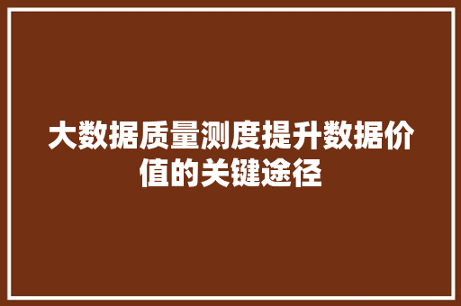 大数据质量测度提升数据价值的关键途径