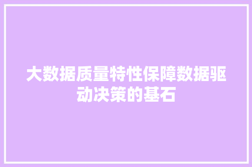 大数据质量特性保障数据驱动决策的基石