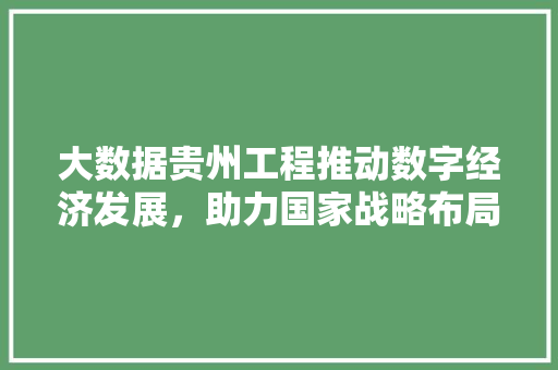 大数据贵州工程推动数字经济发展，助力国家战略布局