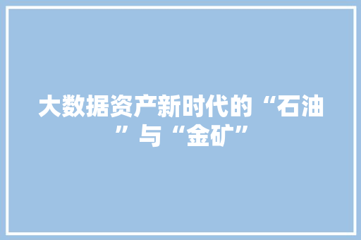 大数据资产新时代的“石油”与“金矿”