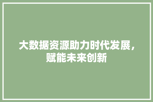 大数据资源助力时代发展，赋能未来创新
