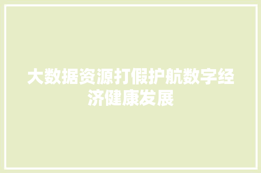 大数据资源打假护航数字经济健康发展
